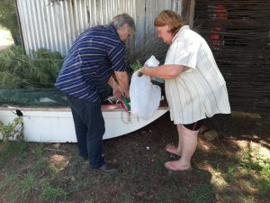 IMG-20190226-WA0049
