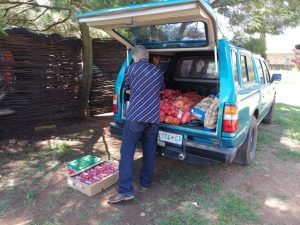 IMG-20190226-WA0050